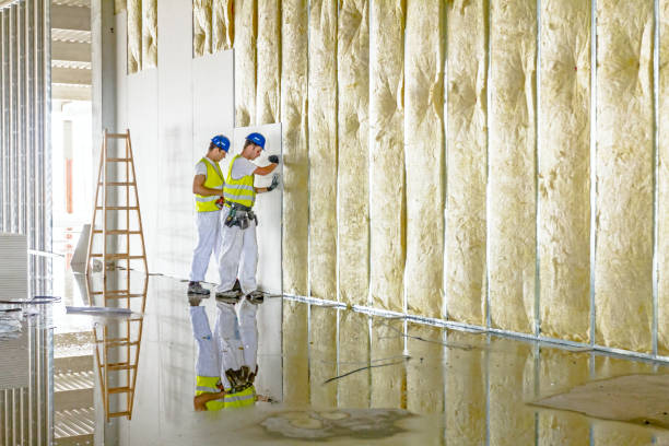 Best Commercial Insulation in Union Hall, VA